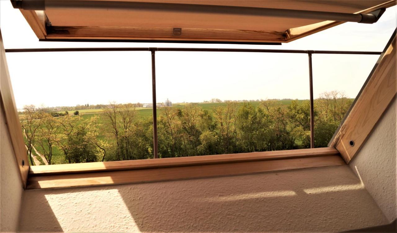 Ferienwohnung Ilsebill Gollwitz Bagian luar foto